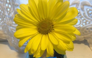 Ukraine Flag and Flower