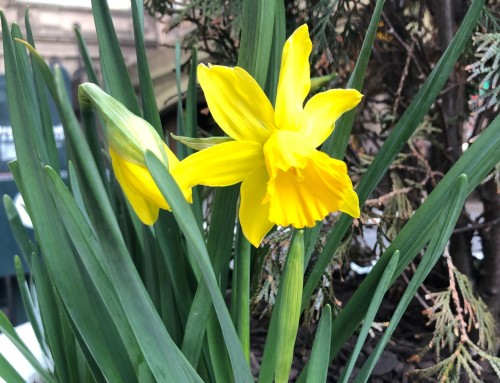 Technique, Trust & Tomorrow – Part I