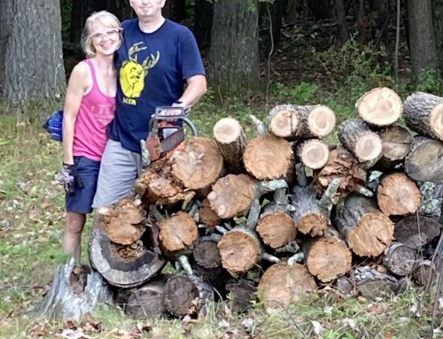 ALL Movement Counts!