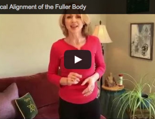 It’s all about that Anatomy!